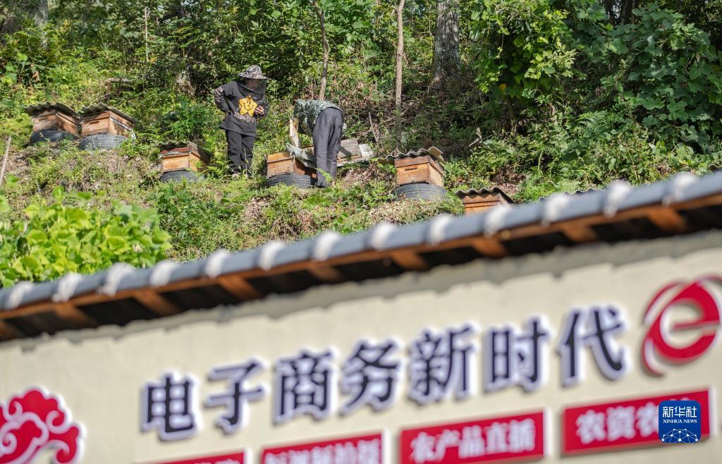 网上菠菜入口